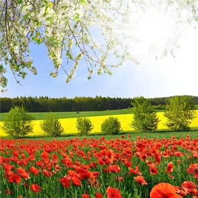 电动车/自行车2